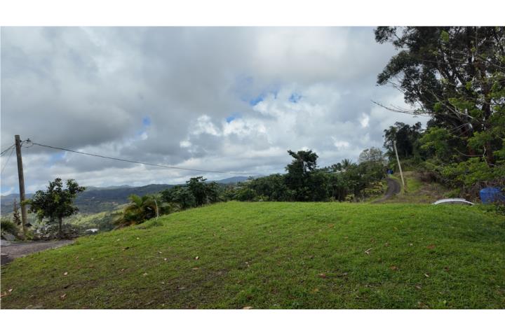 Terreno en Carite, Guayama con Vista al Lago