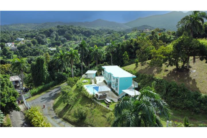 ??Turn-Key Investment in El Yunque