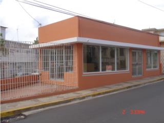 Galeria