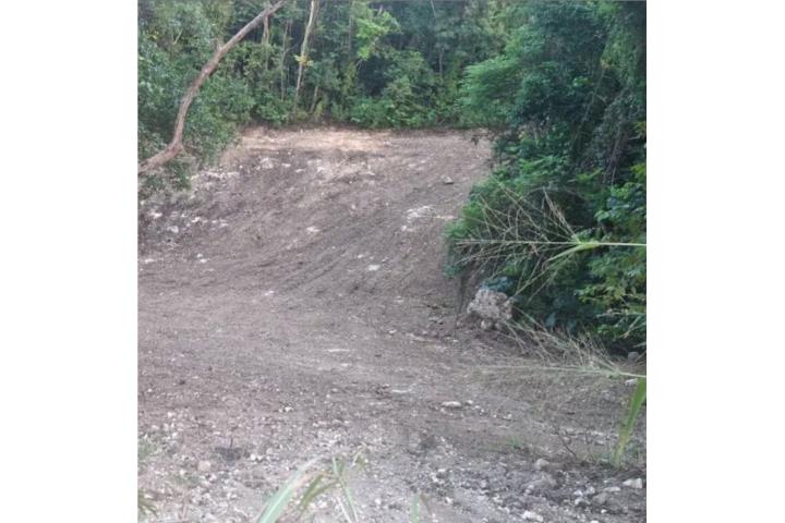 Más de 3 cuerda en solo 115,000 en Hacienda