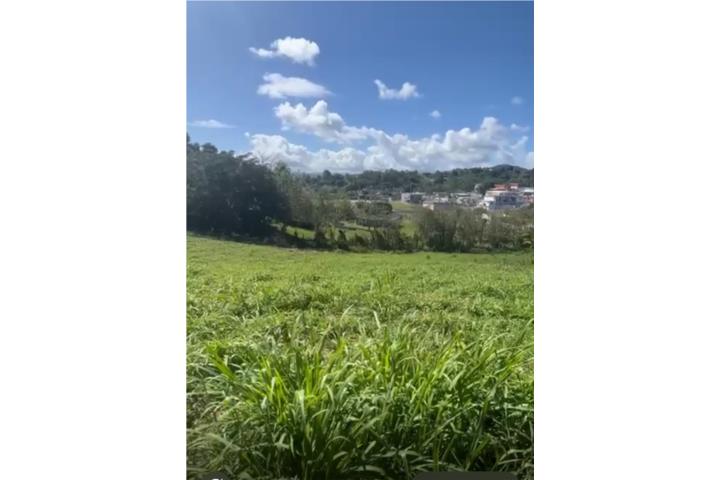 Barrio Aguacate