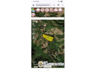 BO CUYON SECT ALGARROBO