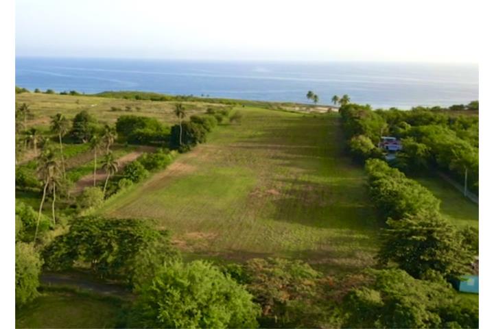 6.7 Cuerdas, El Cliff, Isabela, Puerto Rico