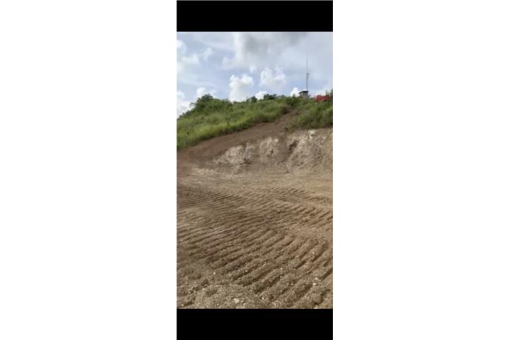 La Parguera