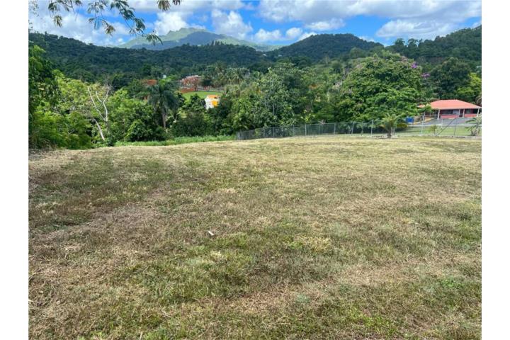 ???? Hermoso solar en venta – Luquillo