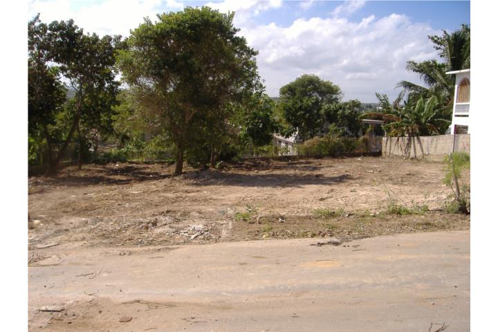 Venta Solares Mauel Corchado Juarbe Isabela