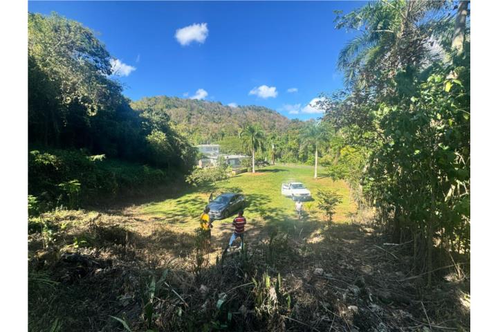 Aguadilla