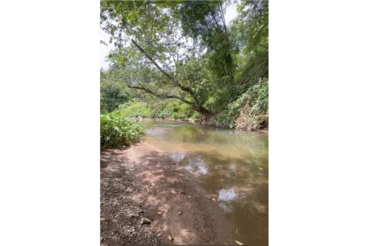 SE VENDEN TERRENOS FRENTE AL RÍO – YAGUEZ-INV
