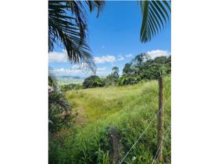 Terreno Bo Orocovis