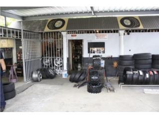 Galeria