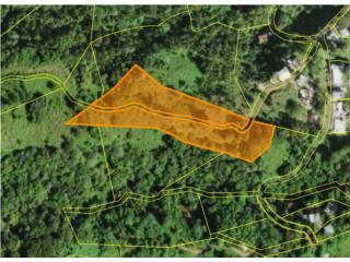 Finca 3.5 Cuerdas Bo. Guaraguao - Bayam�n
