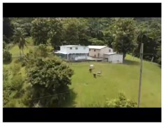52.6 Cuerdas en Lago Dos Bocas Utuado