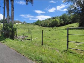 Sector Buena Vista, 2 solares para venta