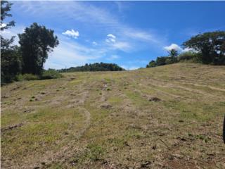 Finca de 4.42 en lajas