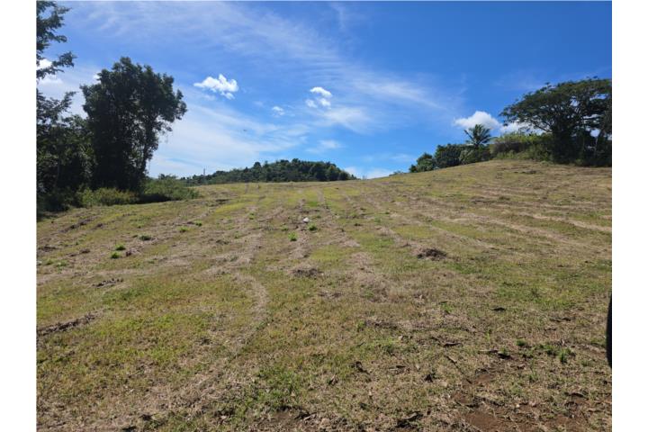 Finca de 4.42 en lajas