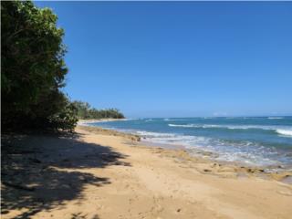 Chalets de la Playa 