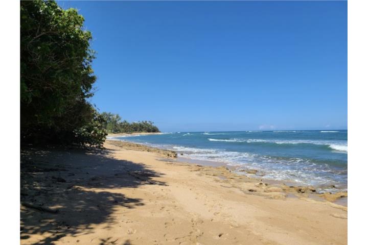 Chalets de la Playa