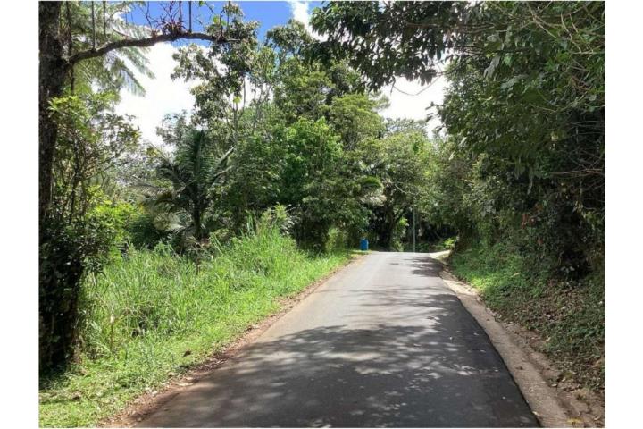 UNA CUERDA  BARRIO SALTOS, OROCOVIS
