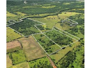 Fincas 6, 153 Cuerdas, Carr 2 