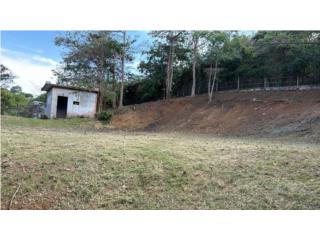 Solar vieques