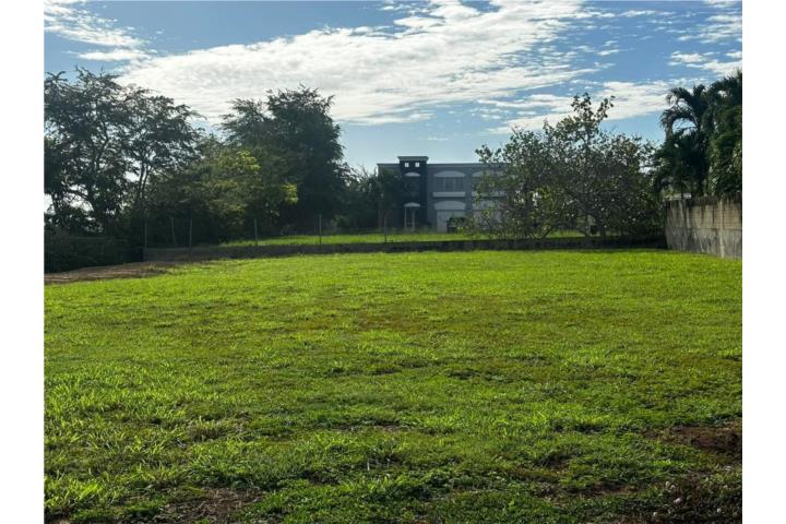 SE VENDE SOLAR EN ARECIBO