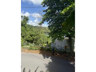 10 CUERDAS DE TERRENO GURABO FRENTE AL LAGO 