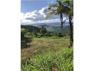 Finca 2.01 cuerdas Bo Borinquen caguas P R 
