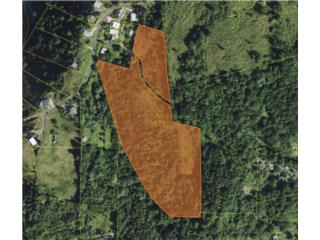 Land For Sale/ 19.16 Cuerdas/ Canovanas, PR