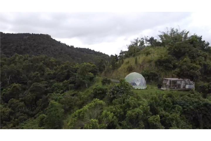 CAYEY 29 CUERDAS A 2 MIN PR-52