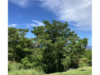 Membrillo, Camuy Lot Ocean View