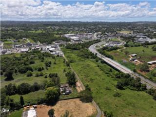 Establo/Casa For Sale - Isabela