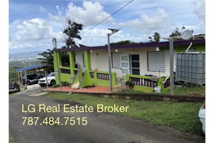 Barrio Borinquen Carr. 763, 2H-1B Placas Sola