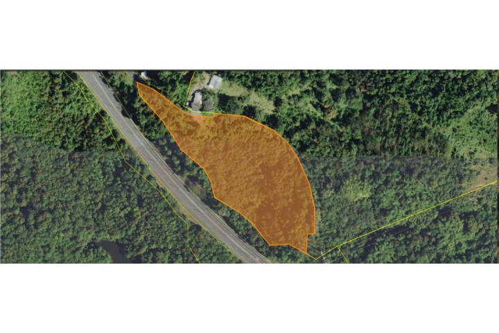 6 cuerdas de terreno, Aguas Buenas-Caguas
