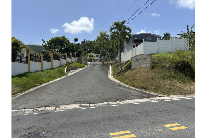 COLINAS DE NAVARRO, CONTROL ACCESO GURABO
