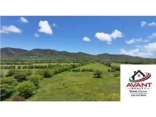 Hermosa Finca Alma Verde Bo Llanos Costa