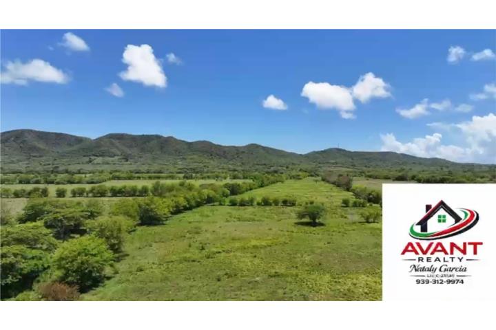 Hermosa Finca Alma Verde Bo Llanos Costa