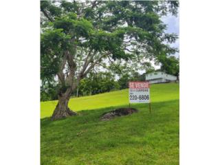 Espectacular Finca 52.6 cds Utuado