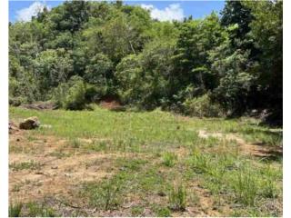 Finca Palmar Aguadilla 1.28 cuerdas 95000