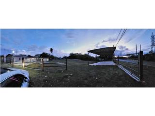 2 Locales con permisos Dealer, Rental, Autopa