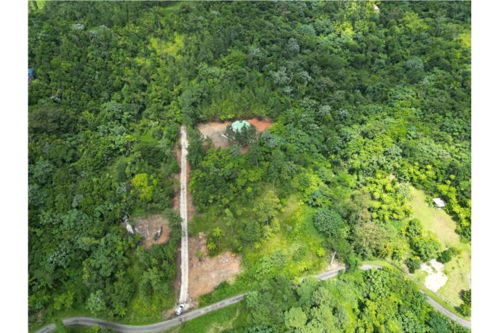 Bo Cubuy / El Yunque, Urb Anoranza, Canovanas