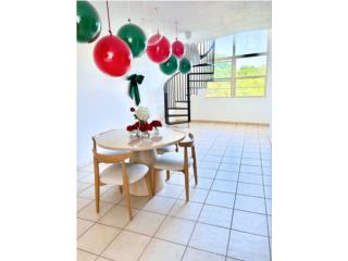 PENTHOUSE EQUIPADO PASEO GRAN VISTA GURABO  Bienes Raices Puerto Rico