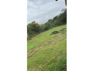Finca paseo lady