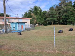 BO MAMEY, AGUADA - Venta de Terreno 1,500 m2 