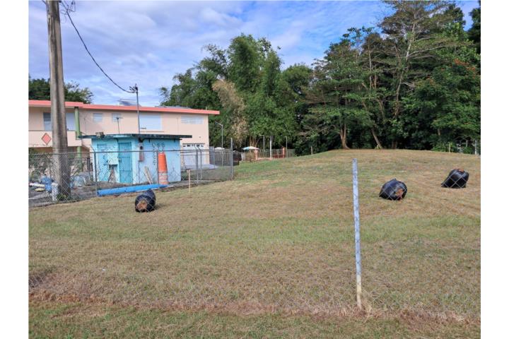 BO MAMEY, AGUADA - Venta de Terreno 1,500 m2