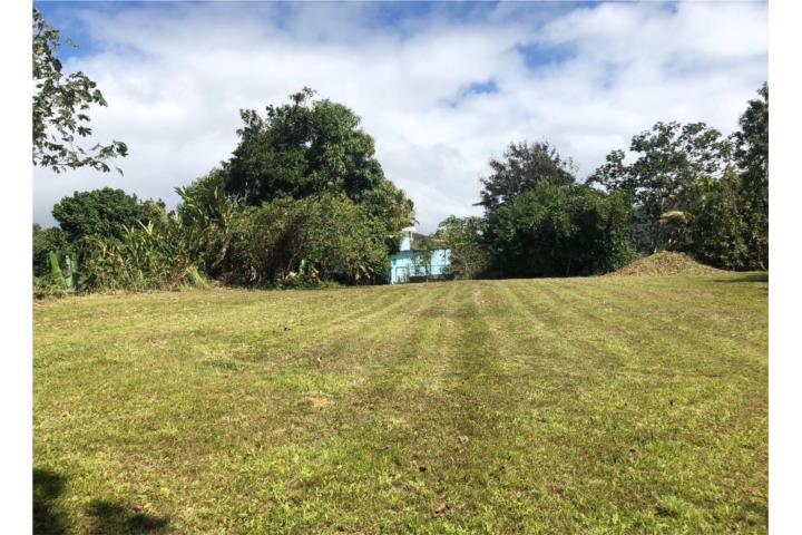 Terreno Bo. Bateyes, Mayaguez