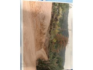 Finca