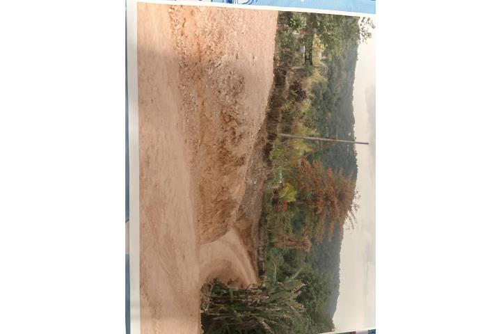 Finca