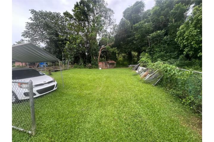 Terreno Abra Honda Camuy