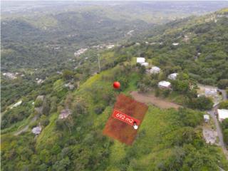 Terreno con vista panor�mica, Mayaguez