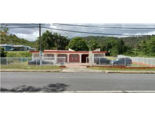 NAGUABO. CARR #31 KM 3.9 BO. EL DUQUE, SECTOR
